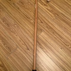 walking stick