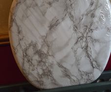 toilet seat