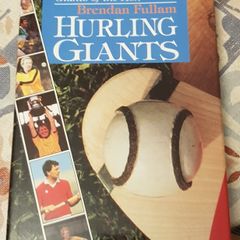 Hurling Giants by Brendan Fullam