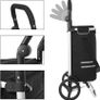 _Shopping cart, Shopping cart, foldable, with cooler bag, versatile, removable bag, wheels, sturdy, Black Image 2