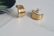 Brand new earrings