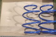 BMW E46 1998 - 2005 AP Front Lowering Springs 60mm Made in Germany