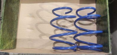BMW E46 1998 - 2005 AP Front Lowering Springs 60mm Made in Germany