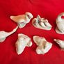 NAO by Lladro Porcelain Ducks & Swan Collection  7 pieces Image 2