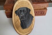 Dog painting labrador