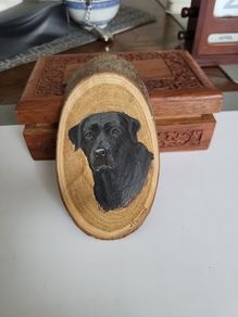 Dog painting labrador