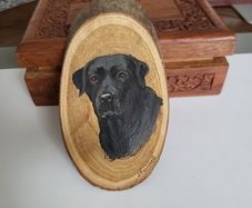 Dog painting labrador