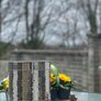 Pet food jar Image 3