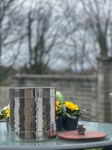 Pet food jar