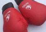 wacoku gloves (boxing/possibly martial arts)