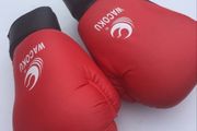 wacoku gloves (boxing/possibly martial arts)