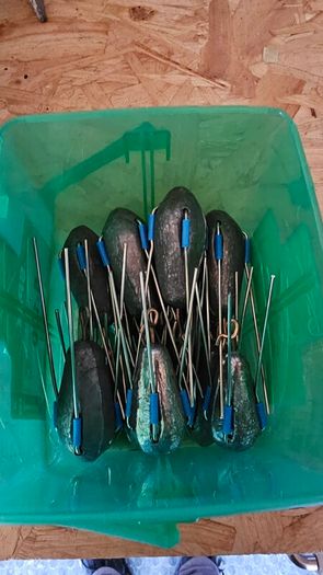 fishing