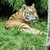 gurdeep80