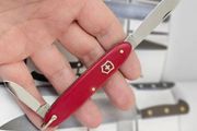 Vintage 1950s Victoria Victorinox Swiss Army Knife with Bail Retired 84mm model Collectable