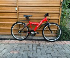 Power Shox Kids Bike