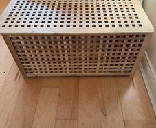 Storage Trunk