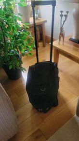 Free Sports Holdall on wheels