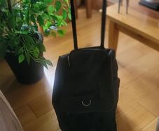 Free Sports Holdall on wheels