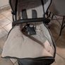 icandy peach blossom twin buggy Image 2
