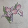 lovely framed water coulure still life of flower signed. Image 4
