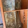 Small Pet Hutch Image 4