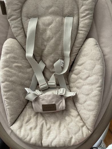 Willow Nested Baby Swing