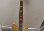 Marcus Miller P8 - 5 String Bass