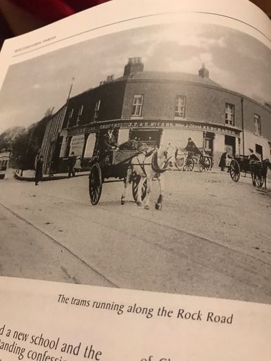 Booterstown -A Pastoral Journey