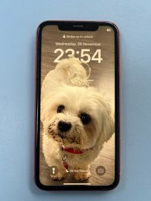 Iphone Xr 64gb Unlocked
