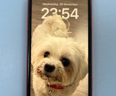 Iphone Xr 64gb Unlocked