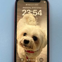 Iphone Xr 64gb Unlocked