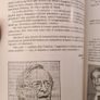 Musil'uomo By Senza Qualita. Grazia Lodeserto. Large Paperback With Beautiful Illustrated Art Pictures. See Photos. 32. Image 4