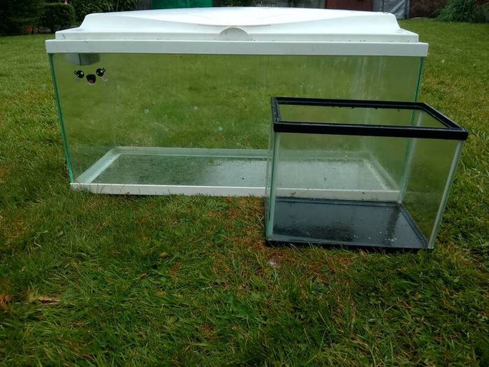 Fish Tank Aquariums