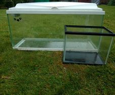 Fish Tank Aquariums