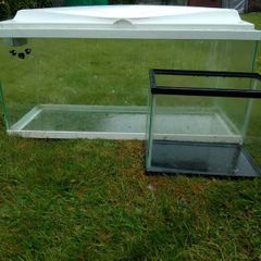 Fish Tank Aquariums