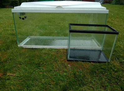Fish Tank Aquariums