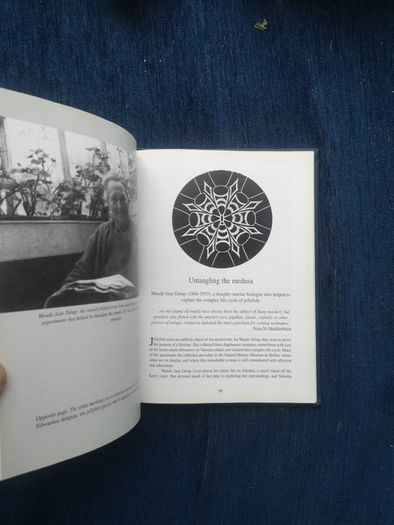 Stars, Shells and Bluebells - (Irish) Women Scientists and Pioneers