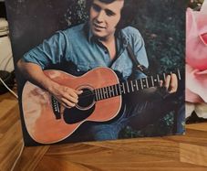 Don mc Lean vinyl