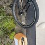 Carrera Axel mountain bike limited edition Image 2