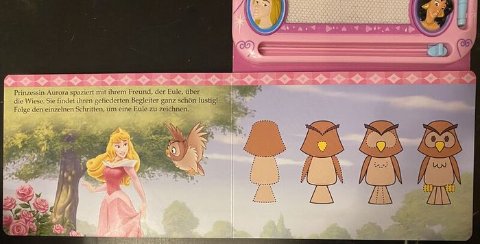 Disney princess magic book