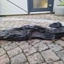 bog oak Image 5
