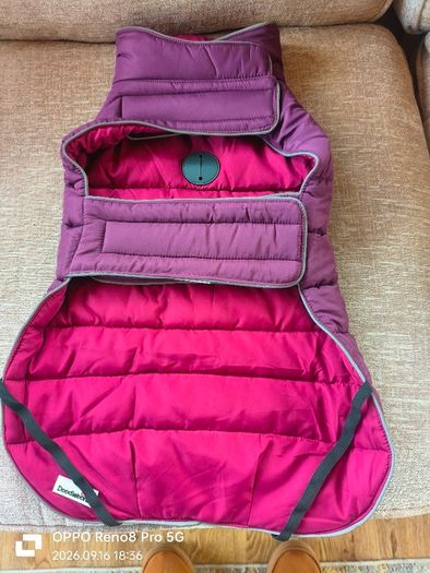 Dog Coats