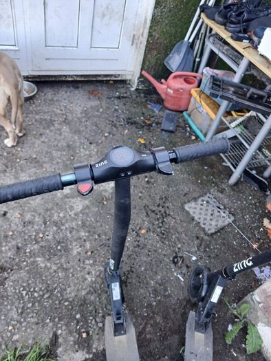 electric scooters