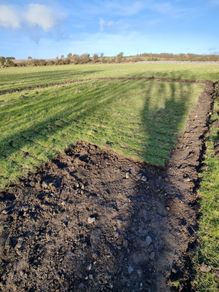 Grass covered soil
