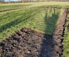 Grass covered soil