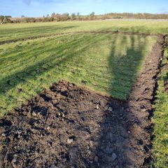 Grass covered soil