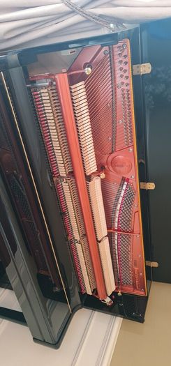 Feurich 122 Piano