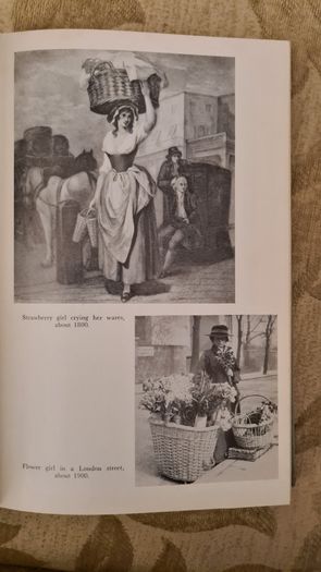 The Early Horticulturists. By Ronald Webber. Printed By David & Charles Newton Abbot. Vintage 1968 Hardback In Good Condition.