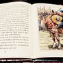 2002. Brian Boru. Book Image 4