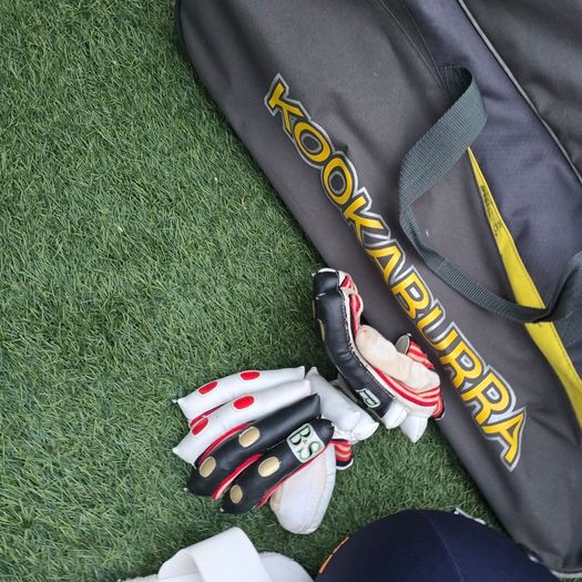 cricket set